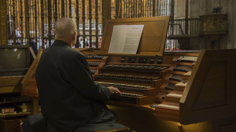 XXXIII Ciclo de conciertos de órgano en la Catedral