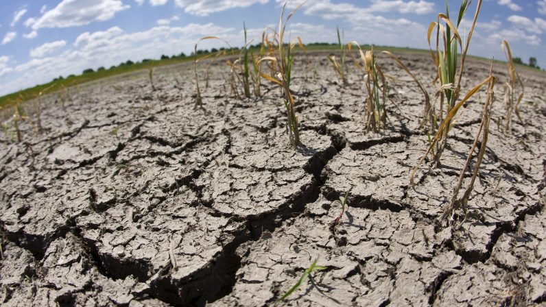Ante la grave sequía que padecemos