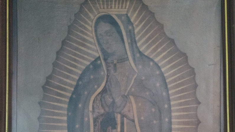 Pro-Vida Mairena del Alcor celebra el día de la Virgen de Guadalupe