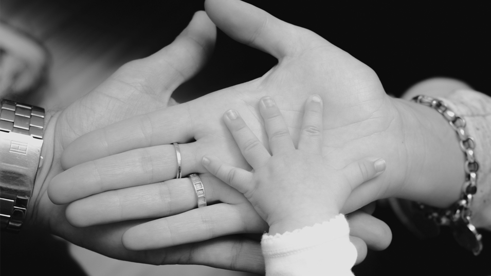 La Rota Romana y el Tribunal Metropolitano organizan un curso sobre matrimonio y familia
