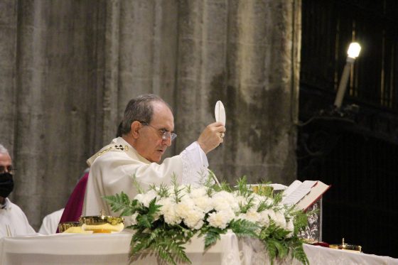 Mons. Asenjo en la celebración del Corpus Christi: “La Archidiócesis de Sevilla es profundamente eucarística”