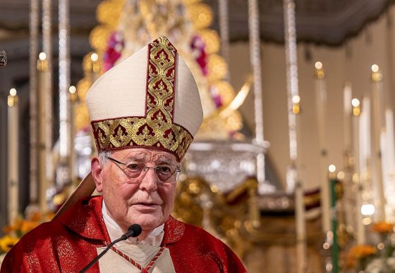 El cardenal Amigo presidirá la Misa de clausura de la Magna Exposición Jubilar Rocío