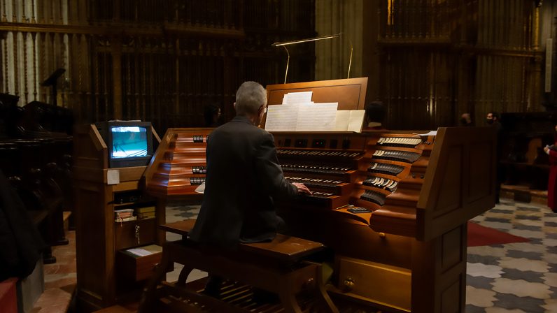 Elogio de la música de órgano