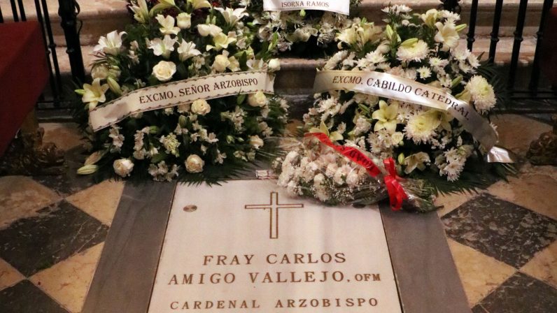 Un año sin el cardenal Amigo Vallejo
