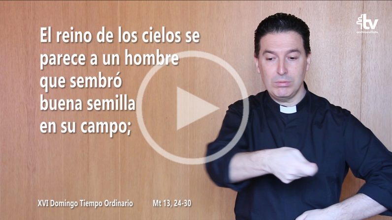 Evangelio del XVI Domingo de Tiempo Ordinario (ciclo A) en Lengua de Signos Española