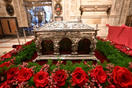 En la Epifanía: Las beatificaciones de los mártires el mayor de los regalos recibidos