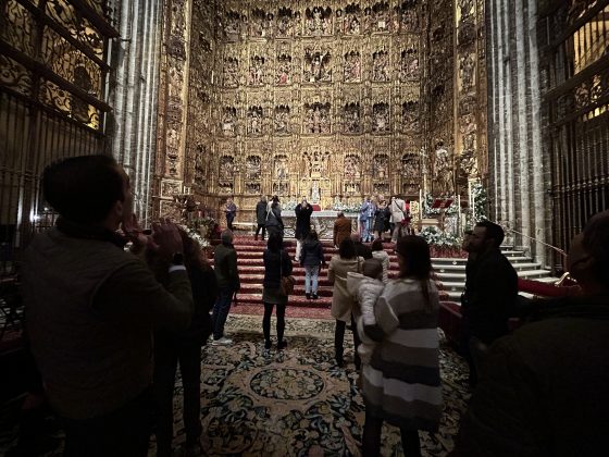 Catedral de Sevilla, Adviento, Navidad, visitas, catequesis (9)