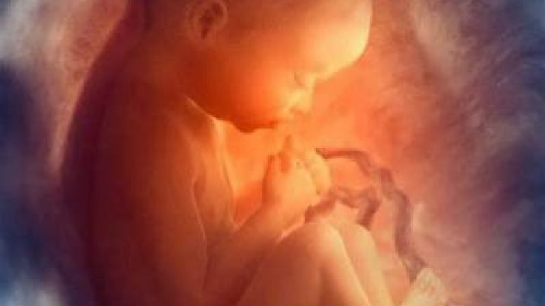 Mons. Saiz: “El aborto nunca podrá ser un derecho fundamental”